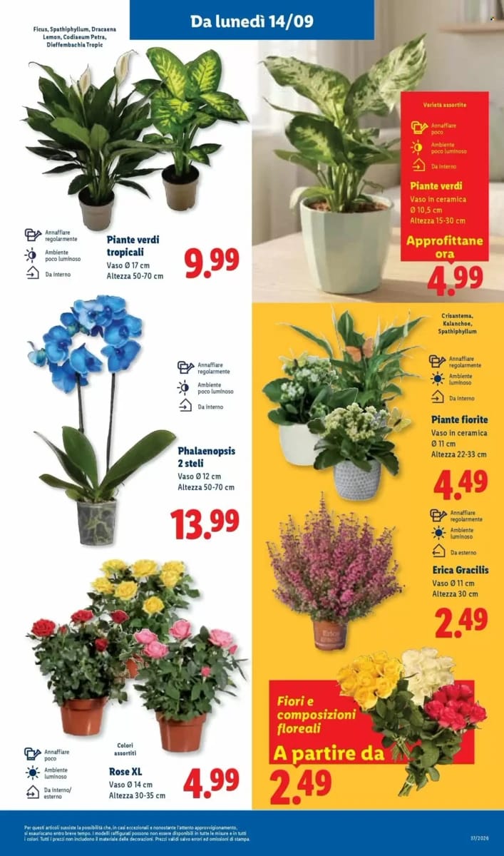 Volantino Lidl, pagina 47 di 58