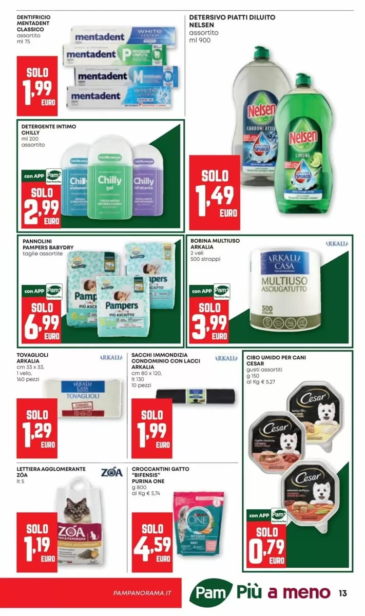 Volantino PAM, pagina 13 di 20