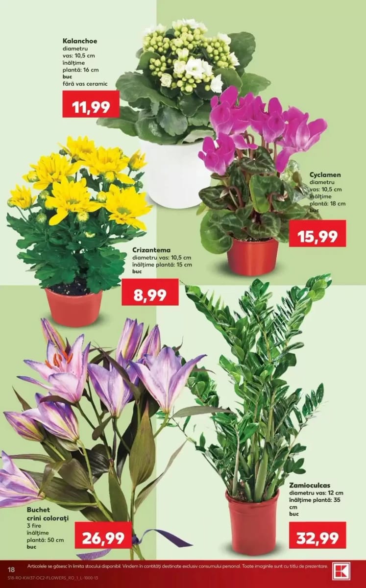 Catalog Kaufland, pagina 18 din 68