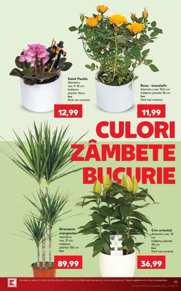 Catalog Kaufland, pagina 19 din 68