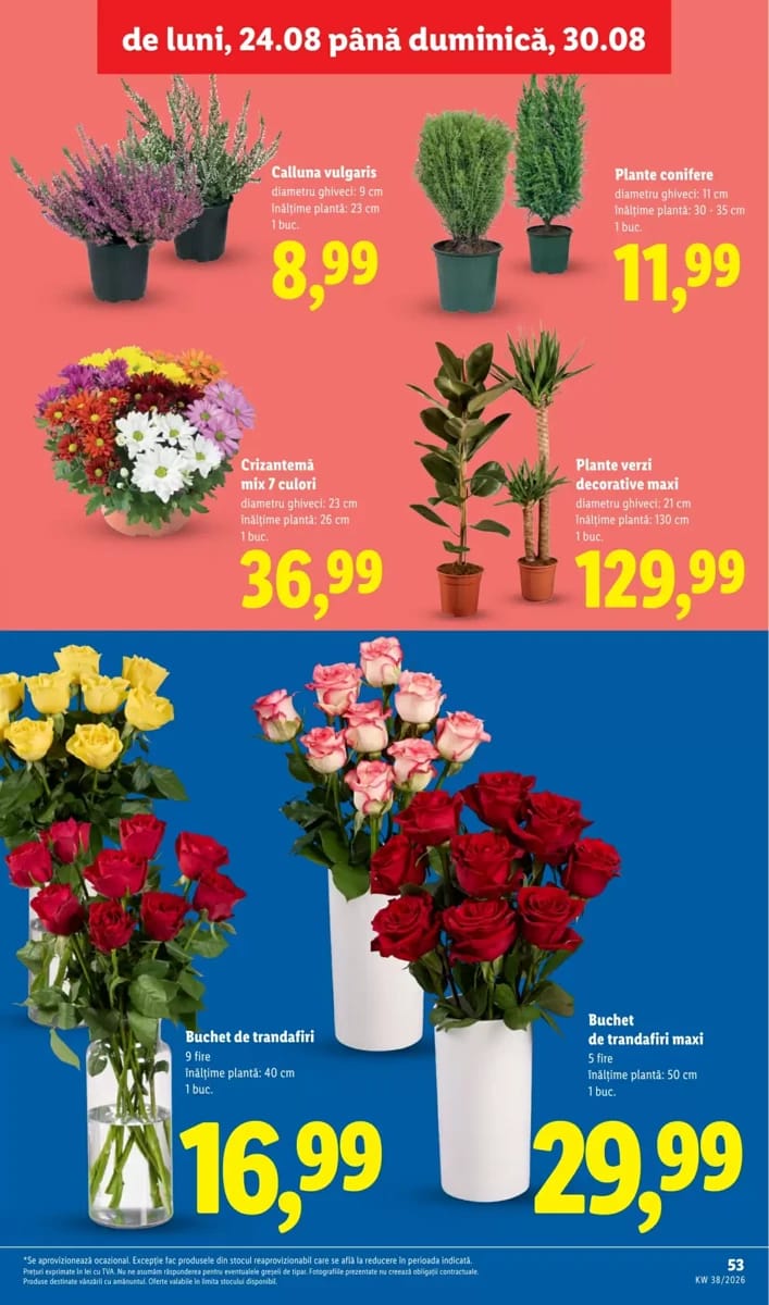 Catalog Lidl, pagina 53 din 82