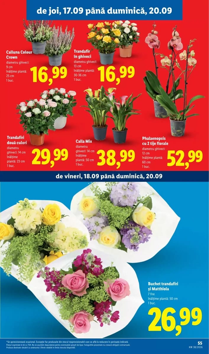Catalog Lidl, pagina 55 din 82
