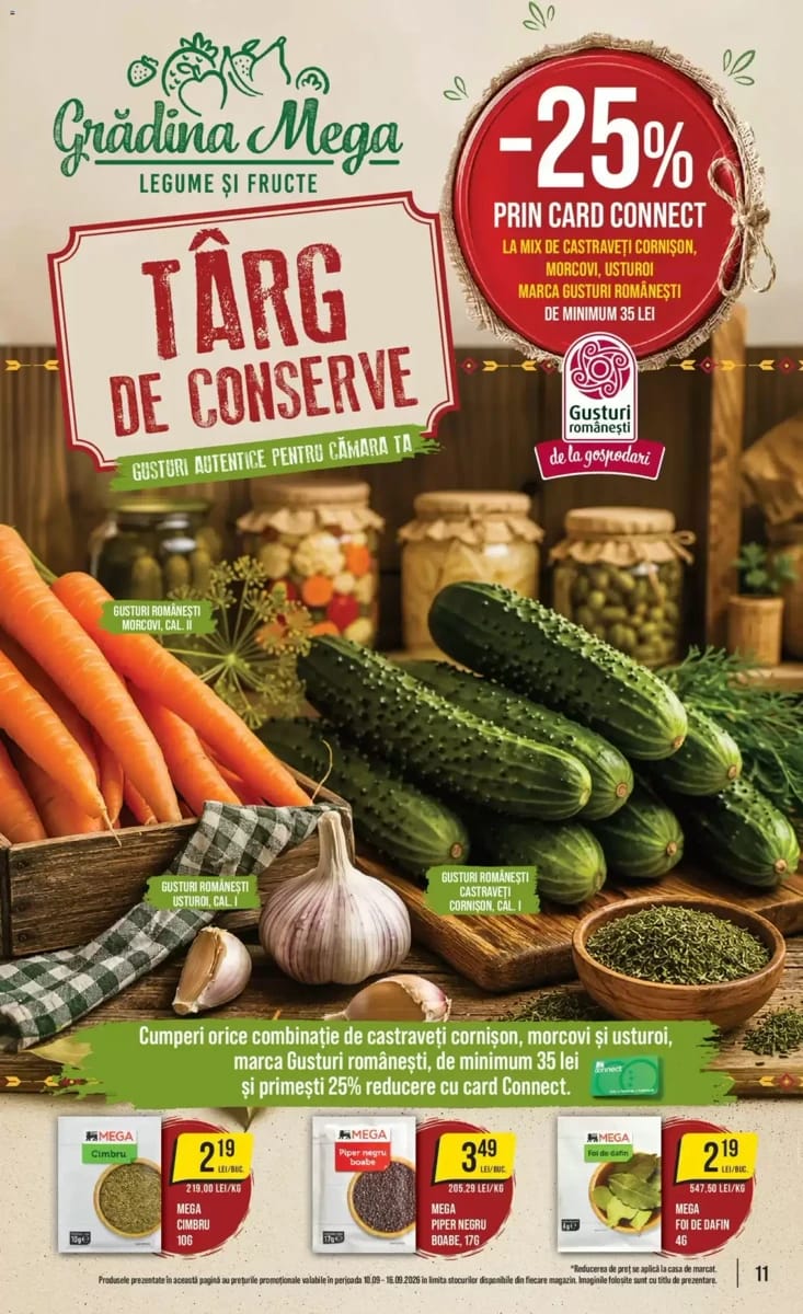 Catalog Mega Image, pagina 11 din 24