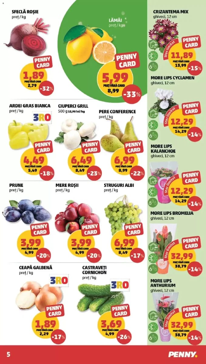 Catalog Penny, pagina 5 din 20