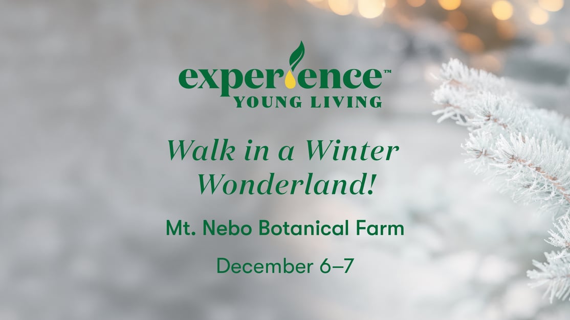 Experience YL Winter Wonderland and Christmas Market on Mt. Nebo