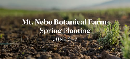 Mt. Nebo Botanical Farm Spring Planting