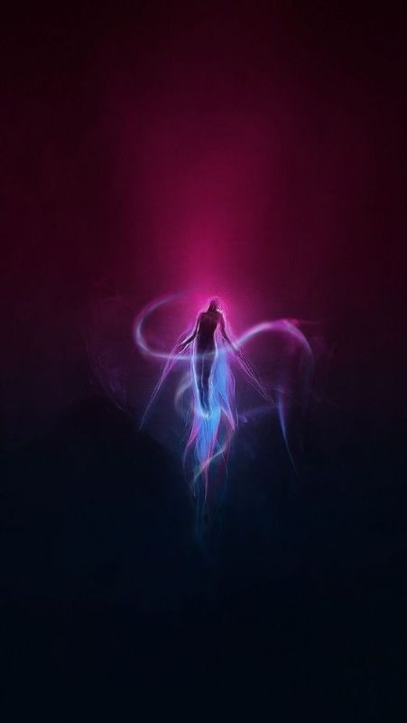 feed_image