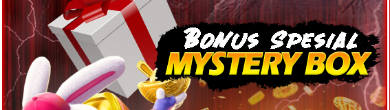 Bonus Special Mystery Box