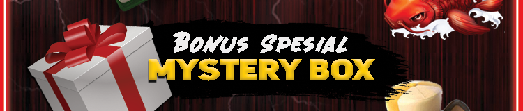 Bonus Special Mystery Box