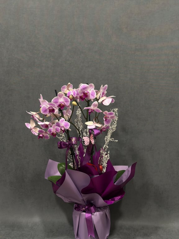 İthal Çift Dallı Sarı Orkide