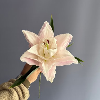 Sarah Bernhard Katmer