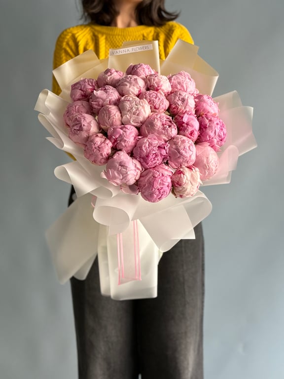 Pembe Şakayık Bulutu 25