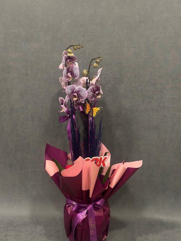 İthal Mor Kırçıllı Çift Dallı Orkide