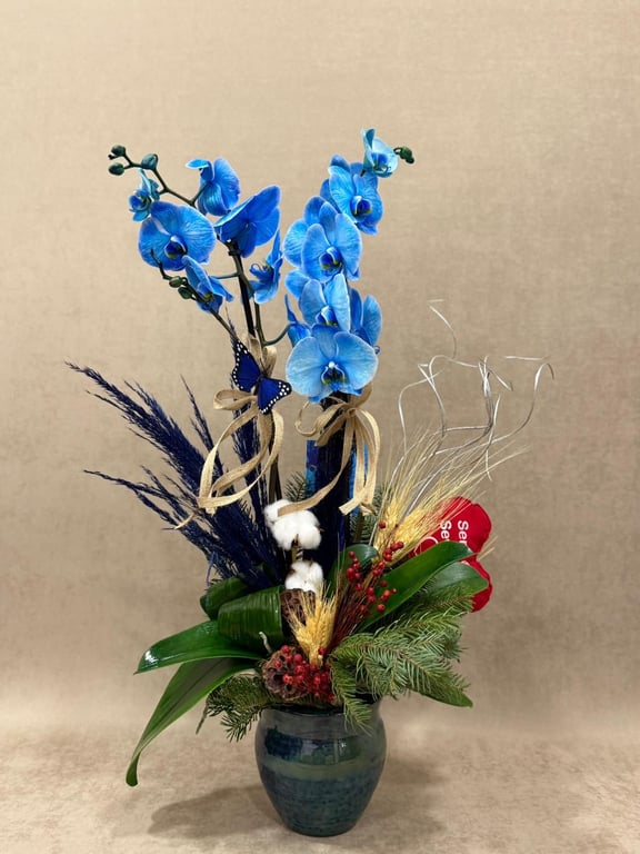 İthal Mavi Pembe Özel Çift Dallı Orkide