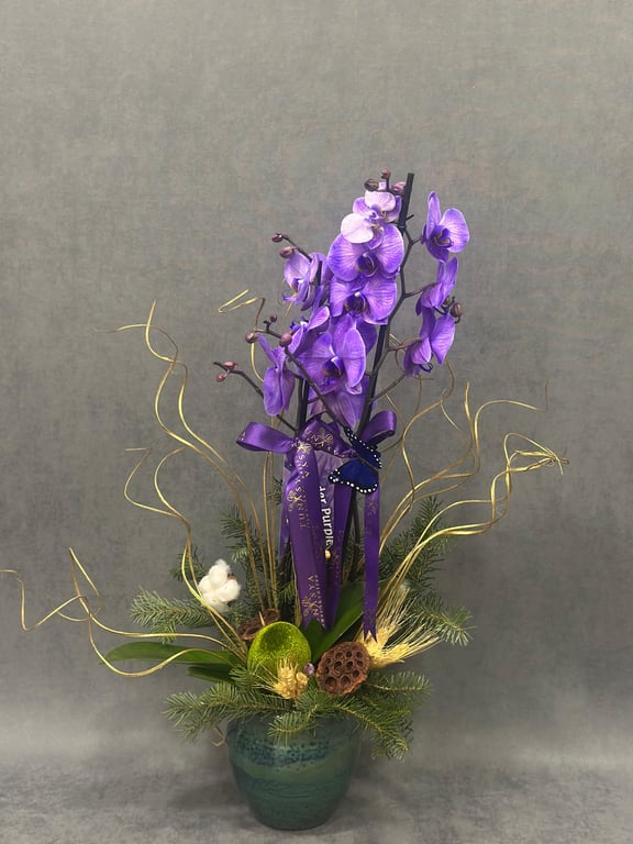 İthal Kahverengi Kırçıllı Çift Dallı Orkide