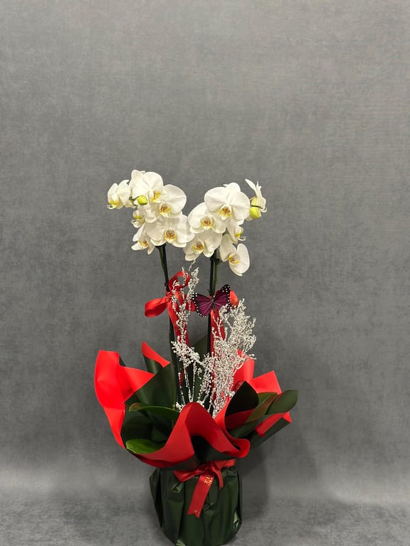 21 Beyaz Gül Buketi