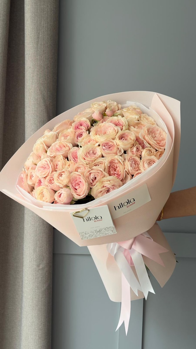 Fattal Gülleri – Kremsi Zarafet