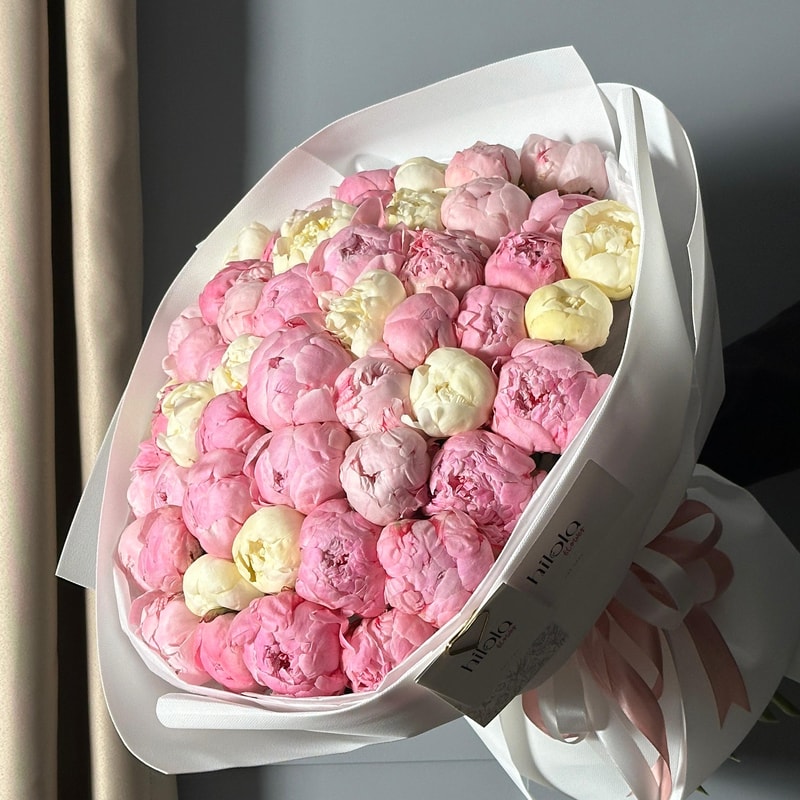 Pembe ve Beyaz Şakayıklar – Graceful Symphony