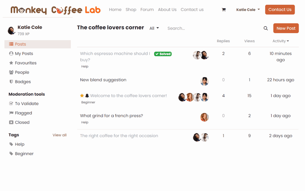 Forum Community Discussion Interface