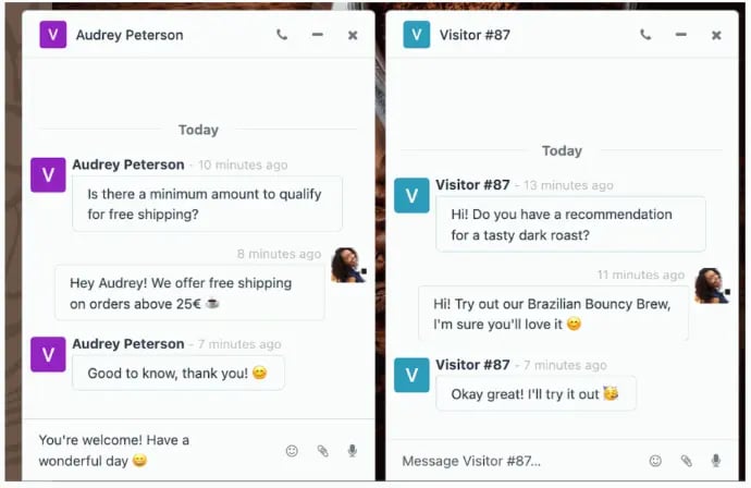 Live Chat Interface