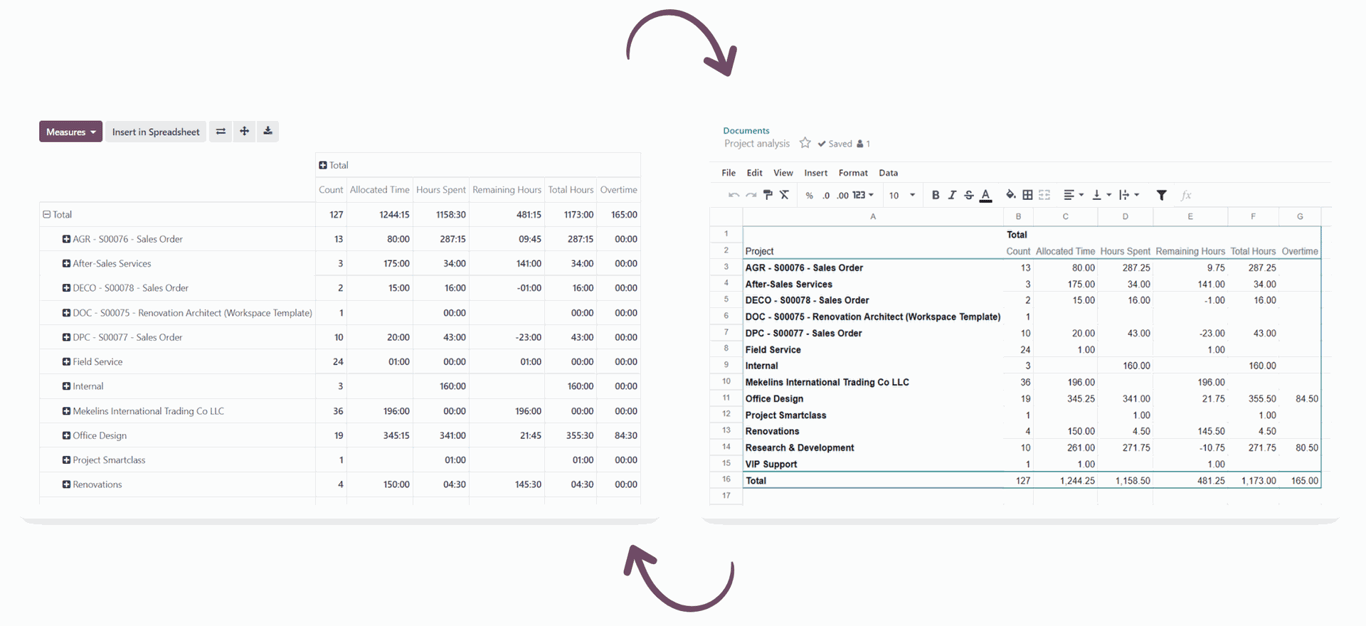 Odoo Spreadsheets Interface