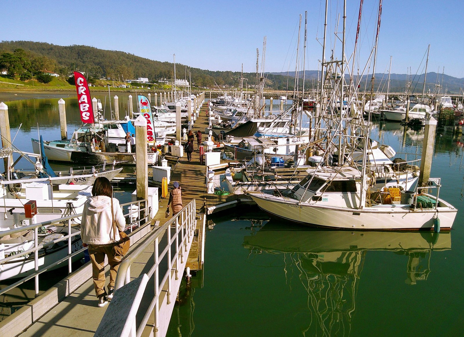 Half Moon Bay coastline and harbor