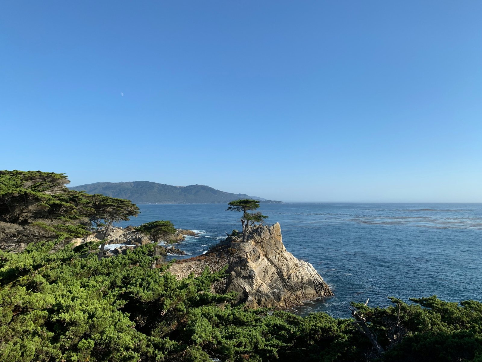 The Lone Cypress on the 17-Mile Drive