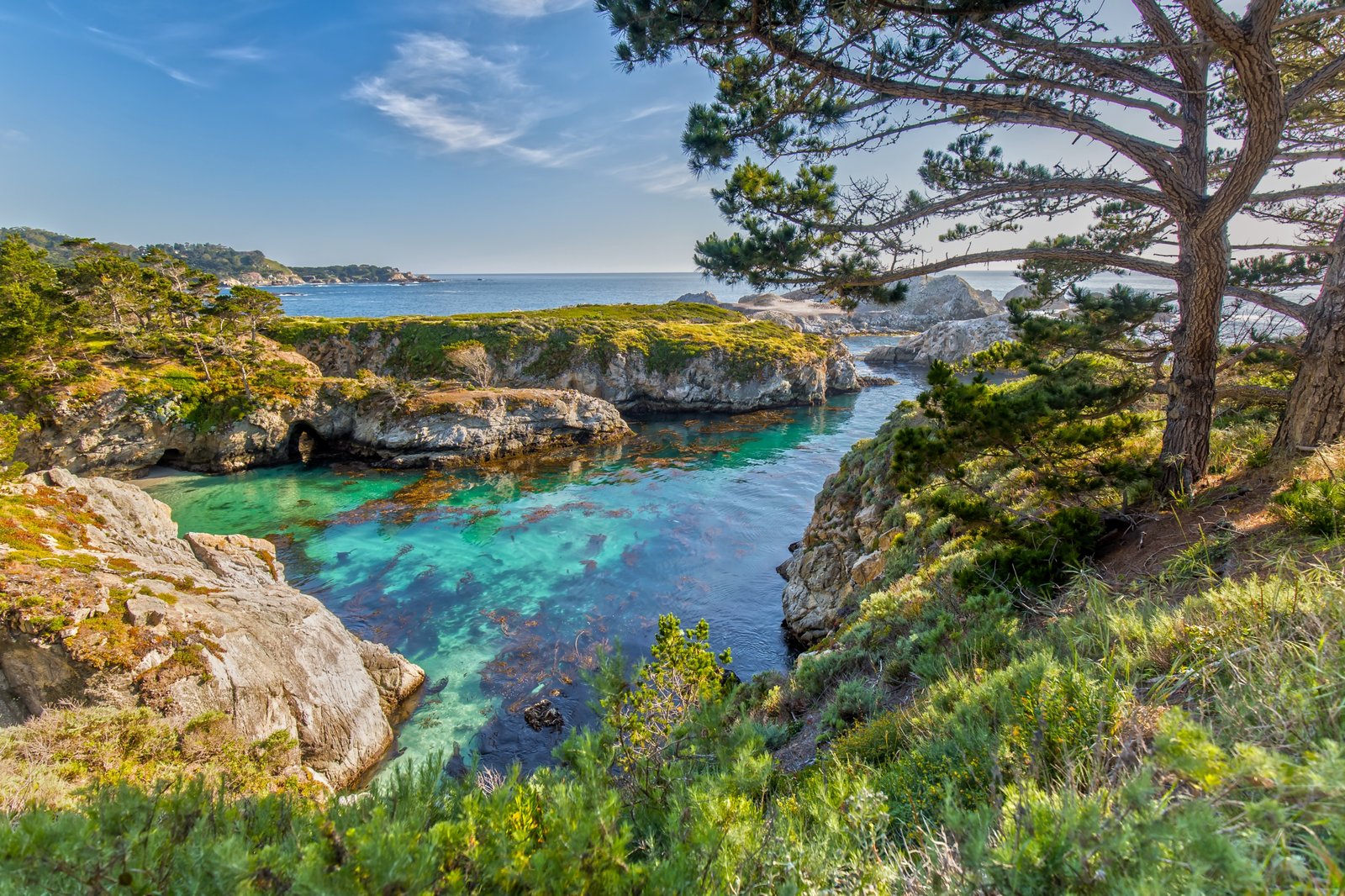 Coves and cypress at Point Lobos State Natural Reserve