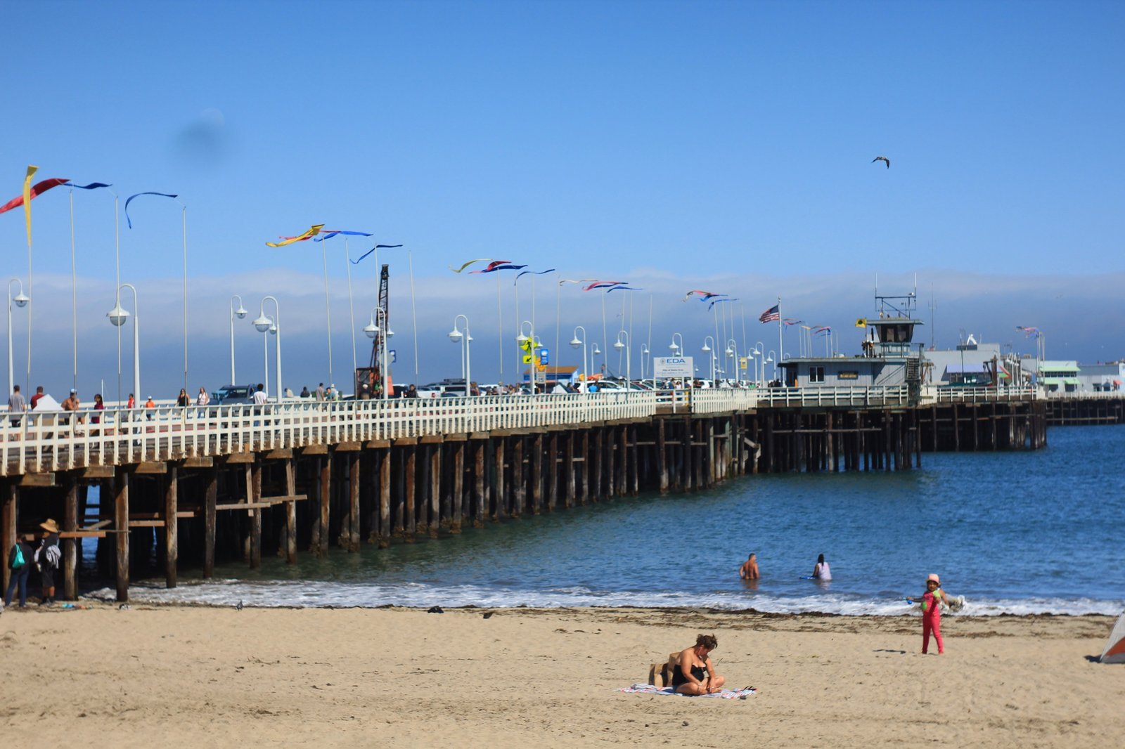 Anglers fishing off the Santa Cruz Wharf