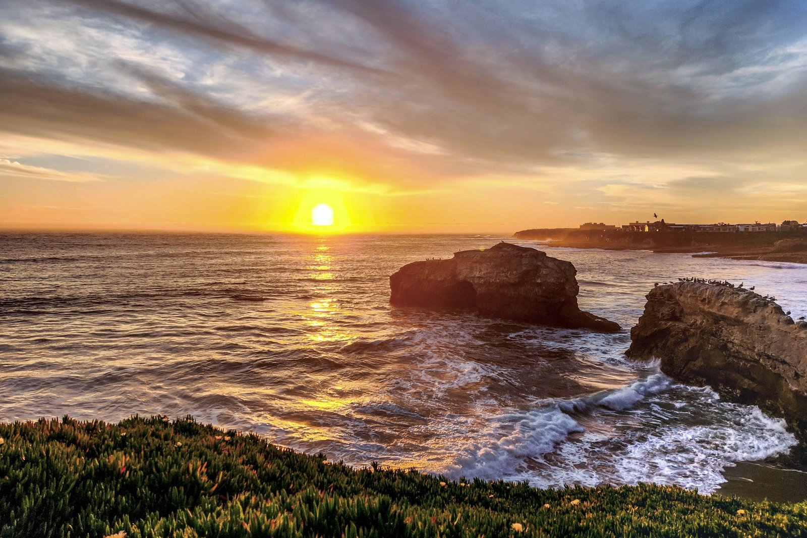 Beach RV Pleasure Point sign at sunset with landscaping