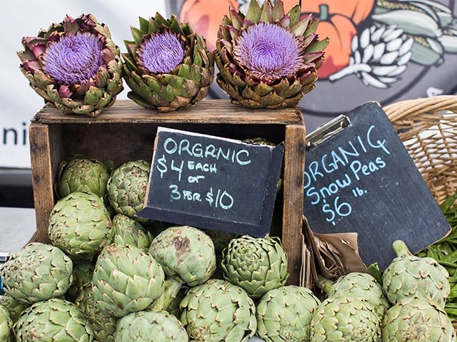 Produce stand at the Live Oak farmers market