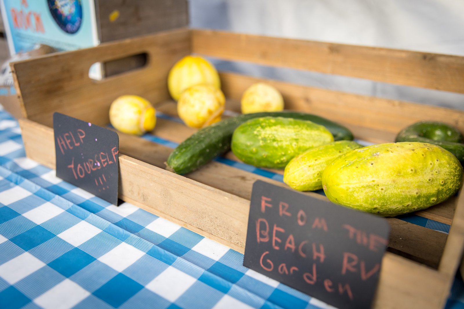 Garden vegetables displayed in wooden crates on a blue checked tablecloth at Beach RV Pleasure Point.