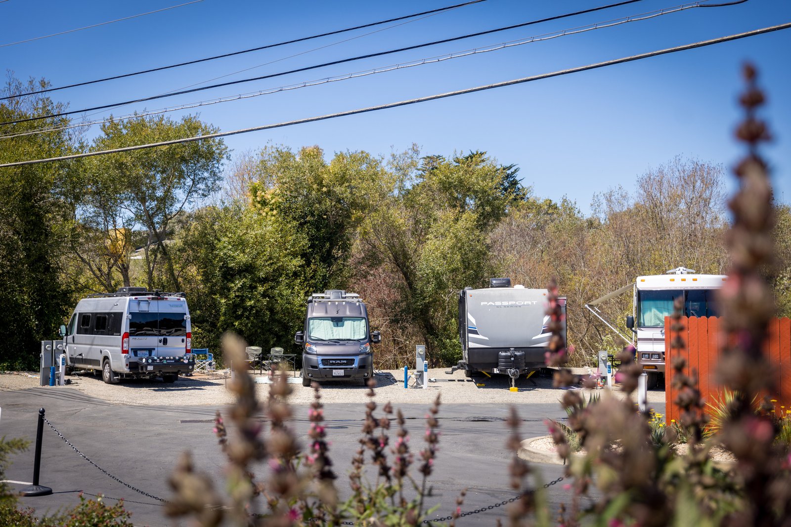 RVs at Beach RV Pleasure Point seen past flowering plants near the entrance.