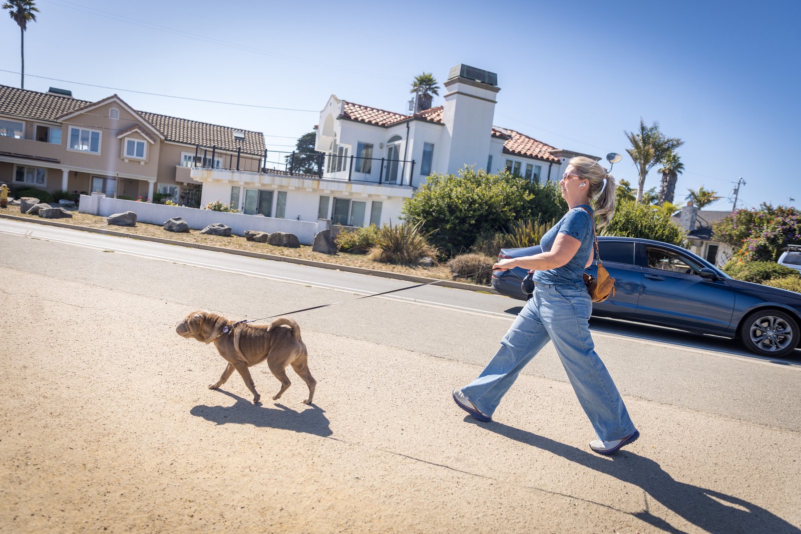 A woman walking a leashed brown dog across a residential street