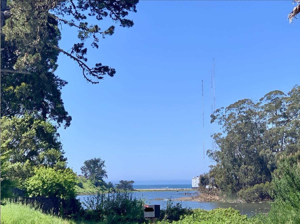 View across Corcoran Lagoon to the ocean from the owner's spot, framed by trees