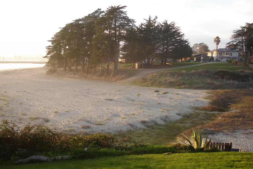 Black's Beach