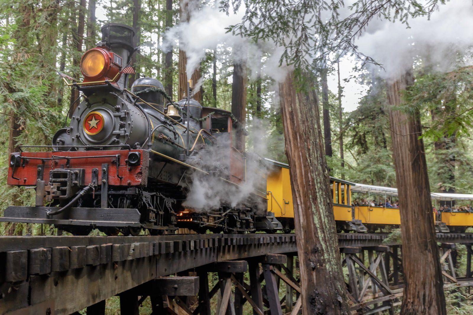 Roaring Camp steam train