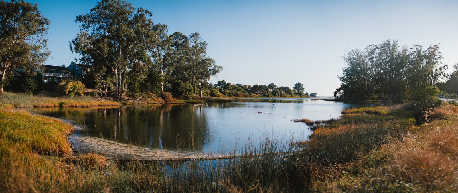 A wide view of Corcoran Lagoon bordered by reeds and trees in warm light.