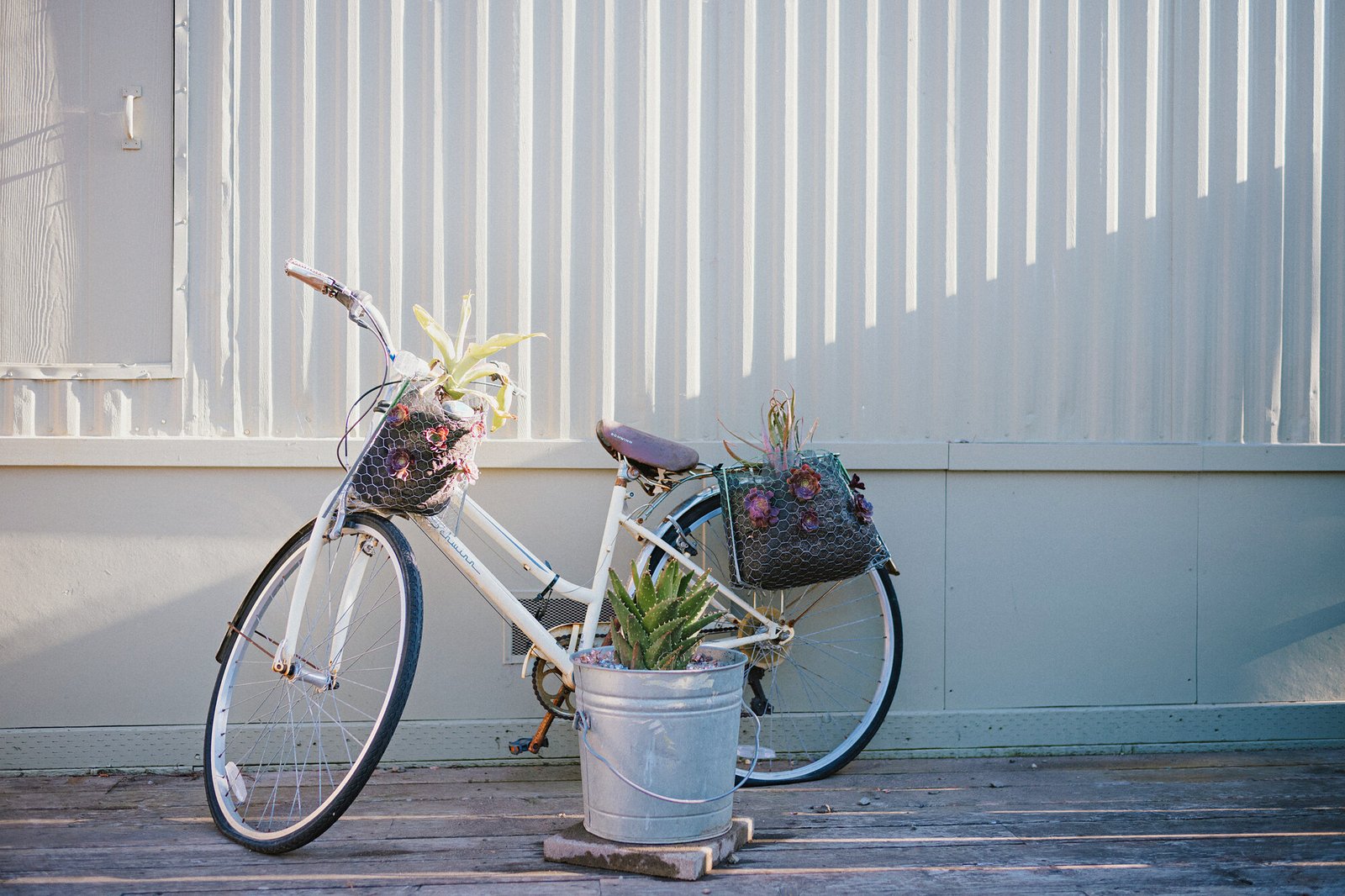 Bicycle and succulent planters outside the bathhouse at Beach RV Pleasure Point