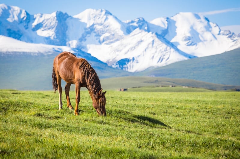 shutterstock_467471156 (1)