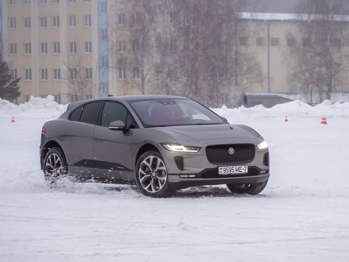 shutterstock_1302277636