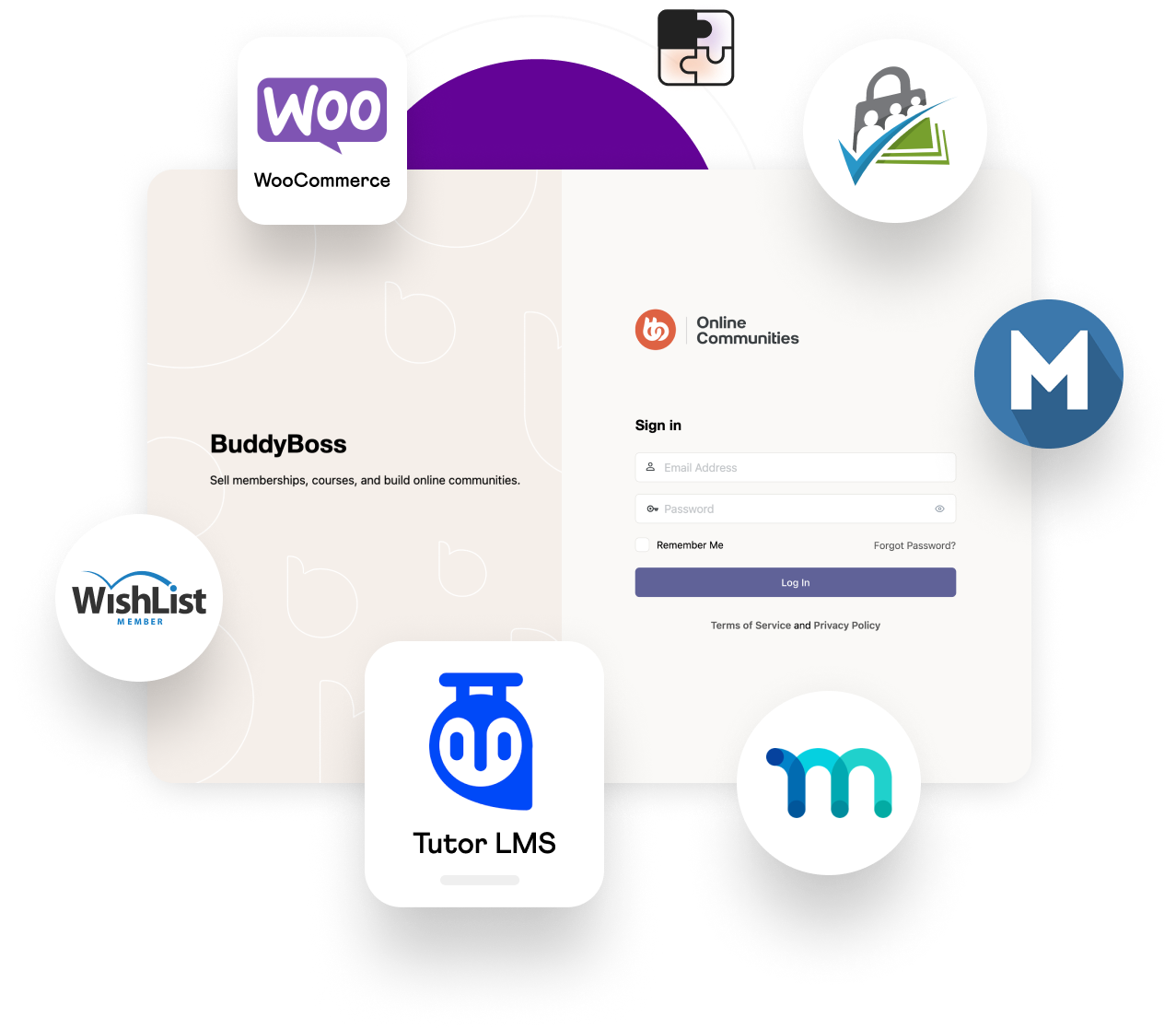 Group 6125c | BuddyBoss