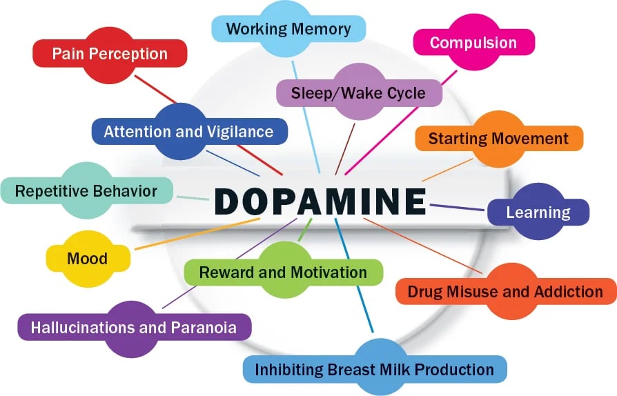 The Dopamine effect