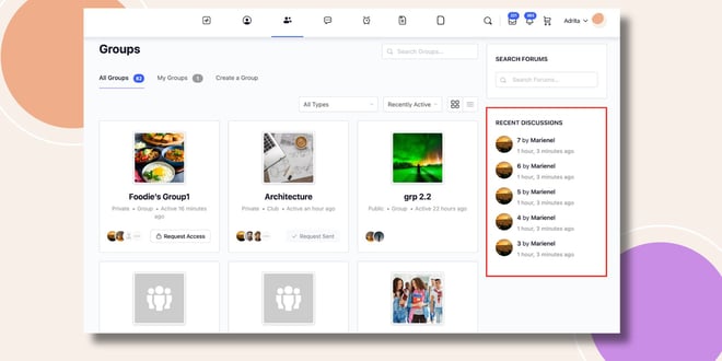 image | BuddyBoss This screensho shows how the Forums Recent Topics Widget