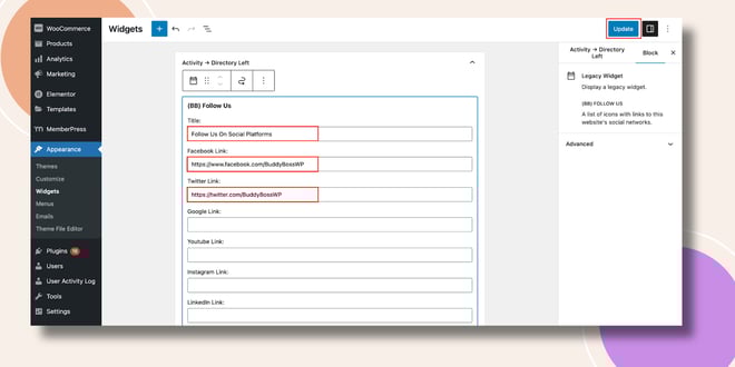 image | BuddyBoss This screenshot shows how you configure the Follow Us Widget