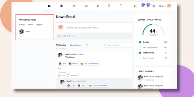 image | BuddyBoss This screenshot shows how to the My Connections Widget will be displayed