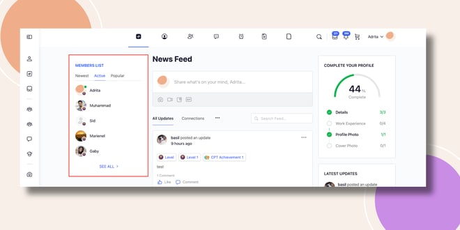 image | BuddyBoss This screenshot shows how the members widget will be displayed