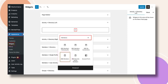 image | BuddyBoss This screenshot shows how the members widget can be added