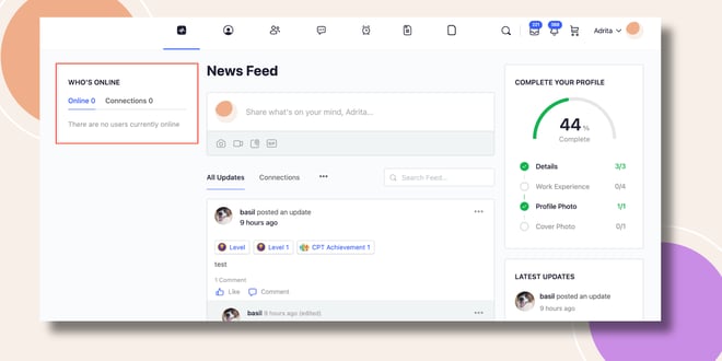 image | BuddyBoss This screenshot shows how the Who's online widget will be displayed.