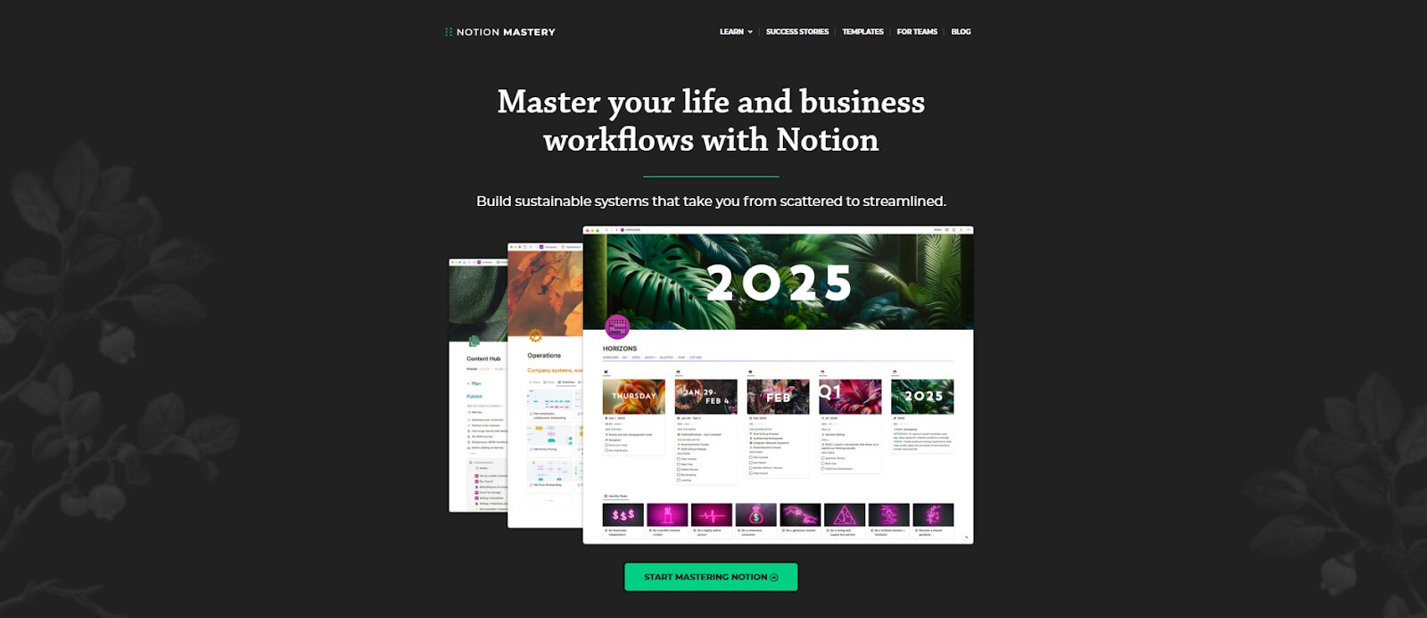 notion mastery